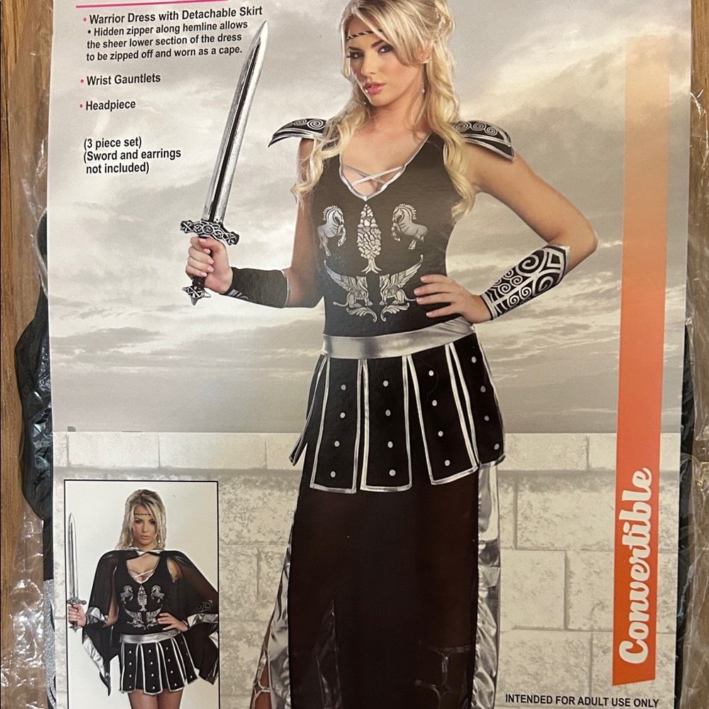 Dreamgirl Gladiator Costume for Women Black and Silver